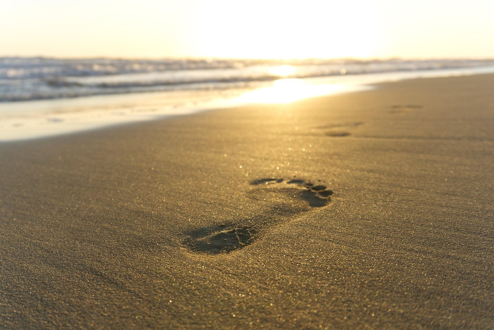 Footprints in desert sand