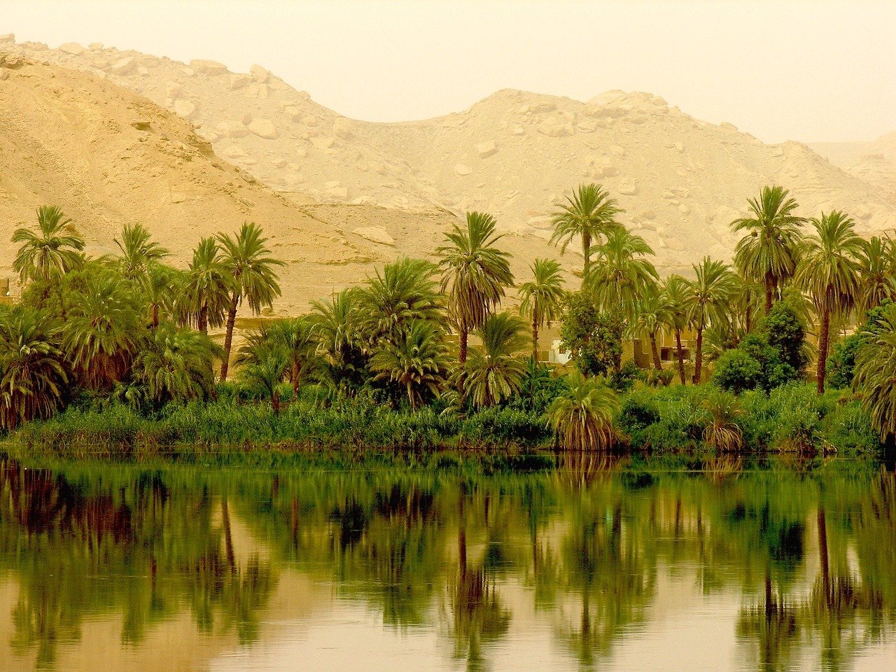 Trees and hills along the Nile river in Egypt Trees and hills along the Nile river in Egypt