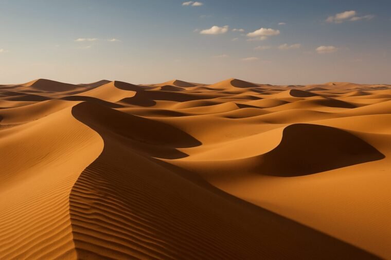 Sahara Desert Sand Dunes in Egypt Golden sand dunes and wind-shaped ripples across the Sahara Desert in Egypt