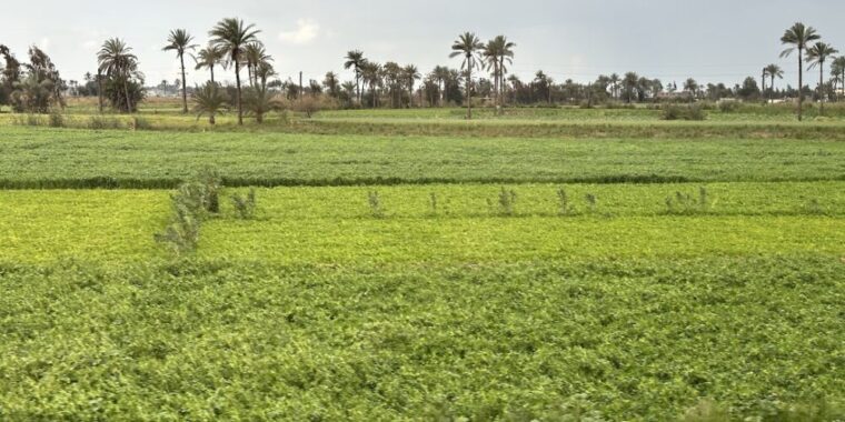 Eastern Nile Delta landscape associated with the biblical land of Goshen, Avaris and the later Pi-Ramesses region