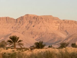 Sunlit desert cliffs of the Theban West Bank rising behind date palms near Luxor