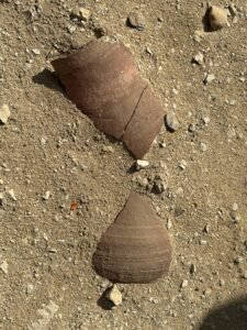 Two reddish-brown ancient pottery sherds lying on sandy ground at the Saqqara archaeological site