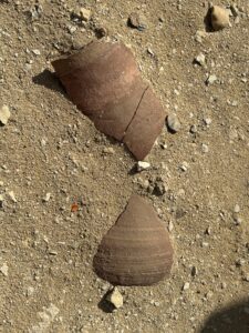 Two reddish-brown ancient pottery sherds lying on sandy ground at the Saqqara archaeological site