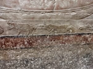 Ancient Egyptian relief of running animals carved and painted on a tomb wall at Saqqara