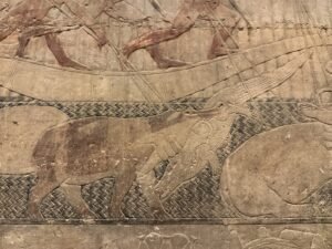 Ancient Egyptian tomb relief of a hippopotamus amid patterned water and hunting scenes at Saqqara