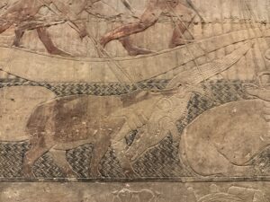 6th-Dynasty relief in the Mastaba of Vizier Mereruka at Saqqara showing a hippopotamus attacking and biting a crocodile beneath papyrus boats