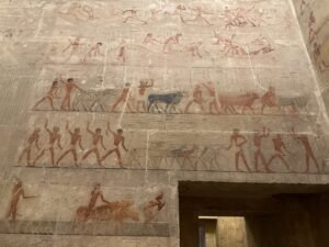 Painted ancient Egyptian tomb wall showing farmers, cattle, livestock, and workers in rows of scenes at Saqqara