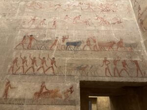 6th-Dynasty painted relief in the Mastaba of Vizier Mereruka at Saqqara showing cattle herders, livestock, workers and men in papyrus boats arranged in horizontal registers