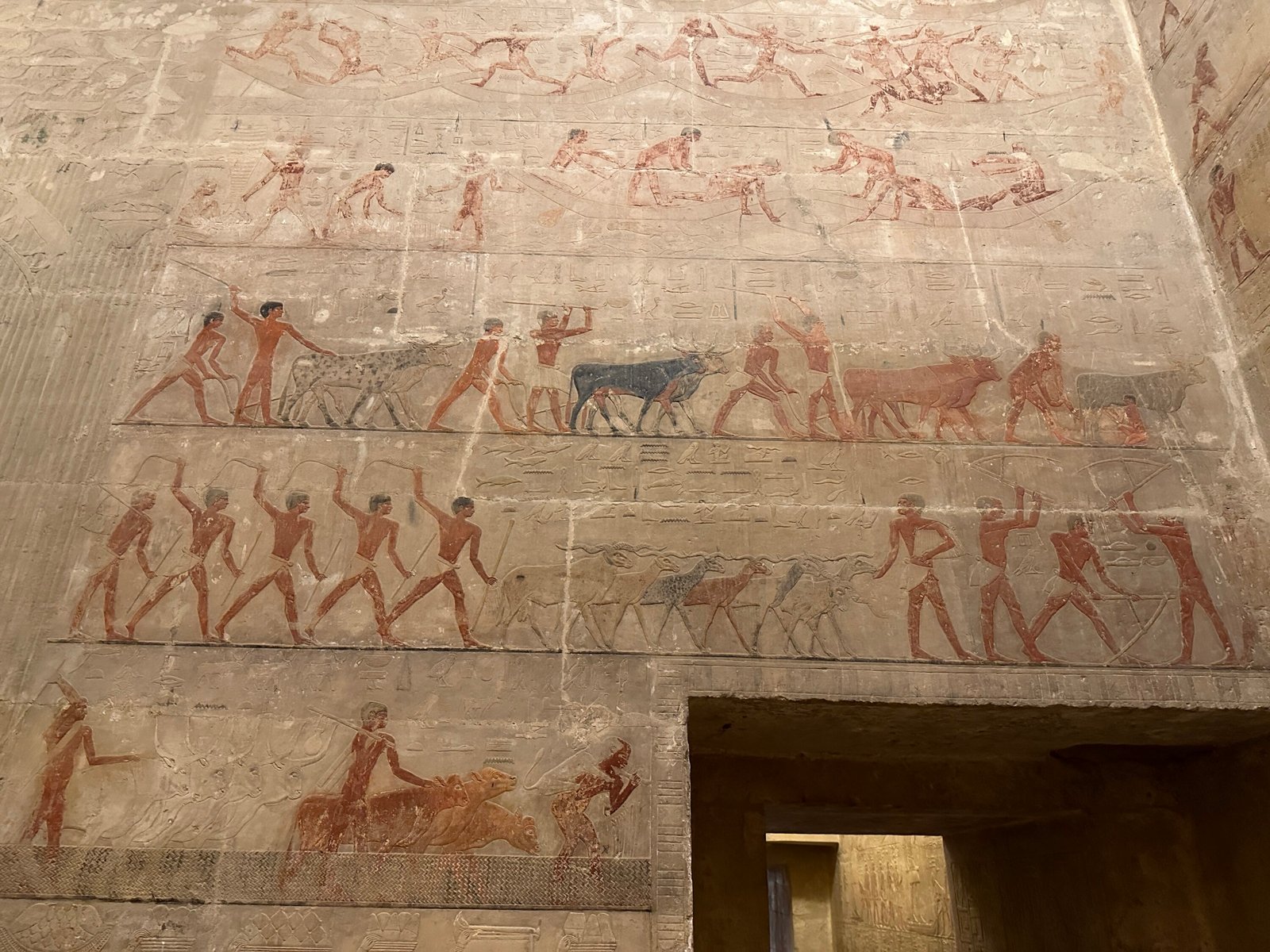 6th-Dynasty painted relief in the Mastaba of Vizier Mereruka at Saqqara showing cattle herders, livestock, workers and men in papyrus boats