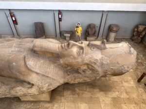 Close elevated view of the face and upper body of the fallen colossal statue of Ramesses II at Memphis