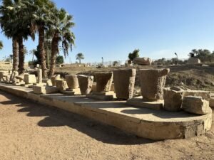Rows of ancient stone column fragments and blocks displayed among palm trees at the Memphis museum site