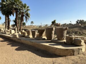 Row of weathered ancient Egyptian column capitals, column bases and architectural stone fragments displayed beneath palm trees at the Mit Rahina Open-Air Museum at Memphis