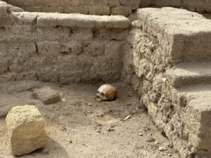 Human skull resting on the floor of an excavated mudbrick structure at the Hawara archaeological site in Egypt