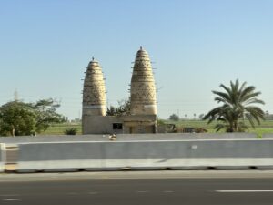 Two tall conical pigeon towers beside green farmland and palm trees in rural Egypt