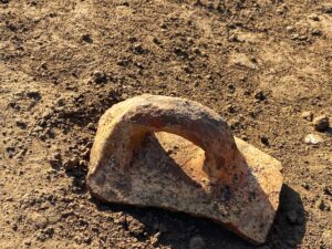 Large reddish ceramic body sherd with a thick loop handle lying on the ground at the Tanis archaeological site in Egypt’s eastern Nile Delta