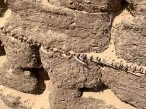 Ancient mudbrick at Lahun with preserved reeds or straw visible between courses