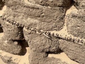 Ancient mudbrick at Lahun with preserved reeds or straw visible between courses
