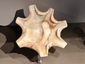 Large ancient animal vertebra displayed in a museum case at the Grand Egyptian Museum