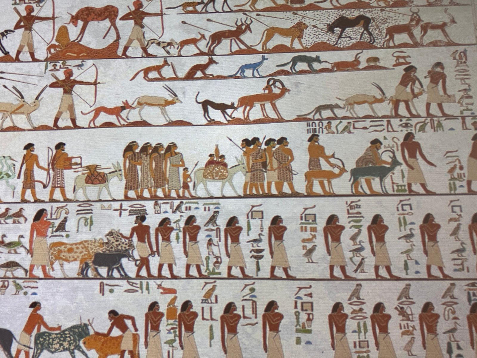 Grand Egyptian Museum display reproducing the Aamu procession from the 12th-Dynasty tomb of Khnumhotep II at Beni Hasan, with foreign visitors, animals and hieroglyphic captions