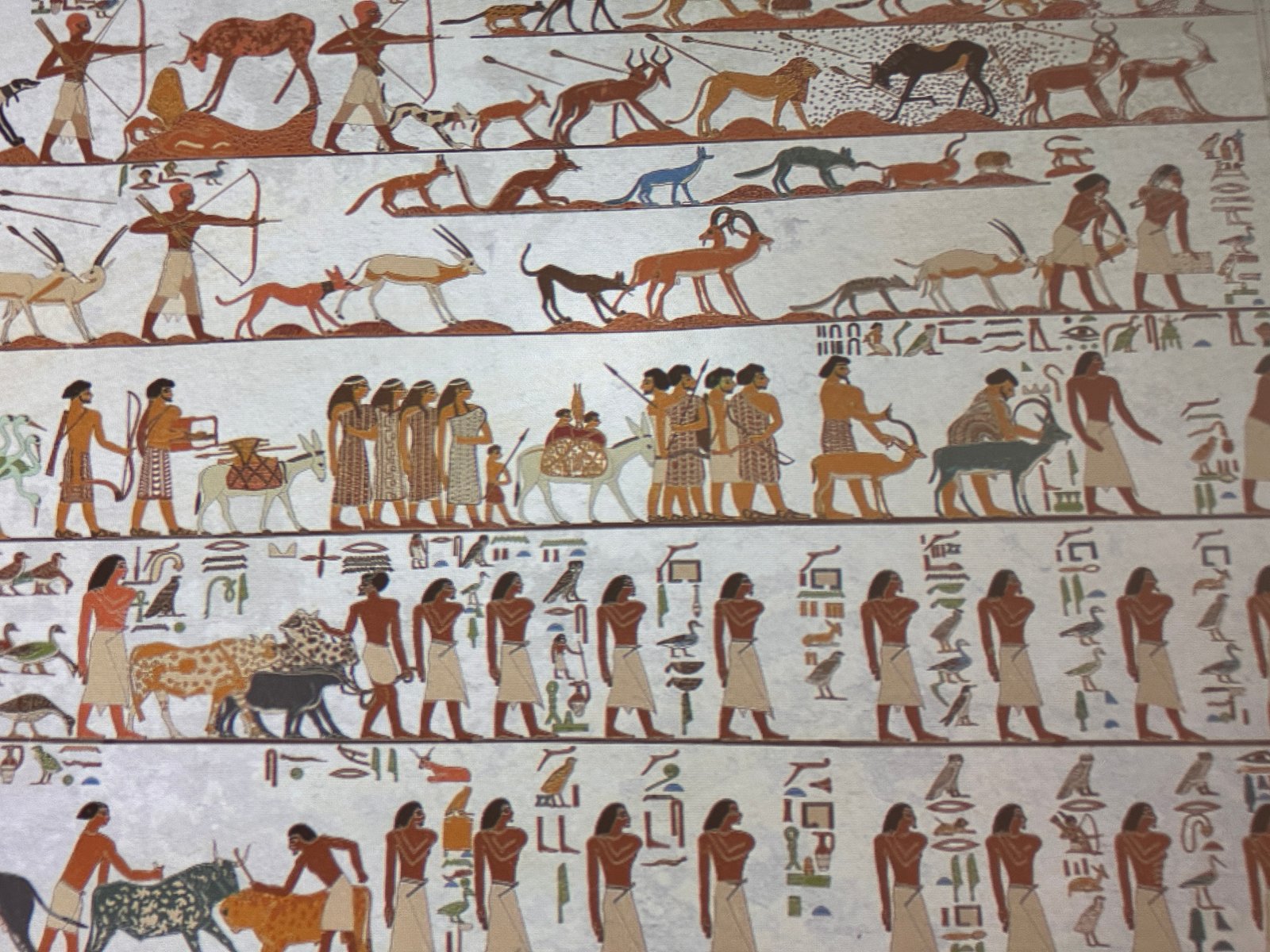 Grand Egyptian Museum display reproducing the Aamu procession from the 12th-Dynasty tomb of Khnumhotep II at Beni Hasan, with foreign visitors, animals and hieroglyphic captions