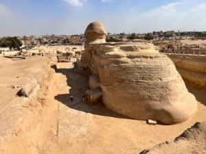 Rear view of the Great Sphinx of Giza showing its lion body, weathered limestone layers, and surrounding excavation area