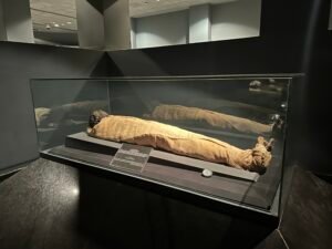 Mummy traditionally identified as Pharaoh Ahmose I, founder of the 18th Dynasty, lying in a glass case at Luxor Museum with linen-wrapped body and exposed head