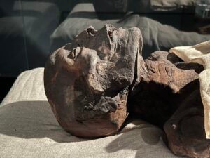 Profile of the probable mummy of Pharaoh Ramesses I, founder of the 19th Dynasty, displayed at Luxor Museum in Egypt