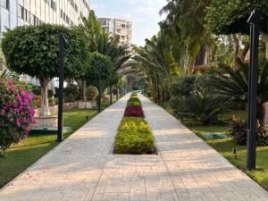 Long paved garden walkway lined with palm trees, flowering shrubs, trimmed trees, and modern buildings in Egypt