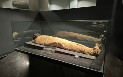 Mummy of Pharaoh Ahmose I Mummy of Pharaoh Ahmose I